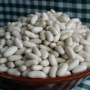 白インゲン豆