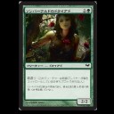 INTRODUCTION 153 ：　おっぱいエキスパンション