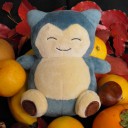 ポケモン制作物①
