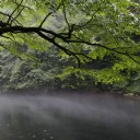 霧が走る