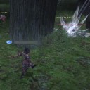 【FF11】 君はペット