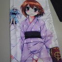 ぷれ征服王