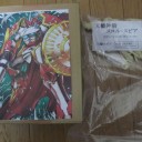 ワンダーフェスティバル2012冬