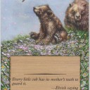 【拡張アート】仔熊/Bear Cub(春)