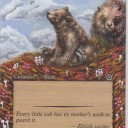 【拡張アート】仔熊/Bear Cub(秋)