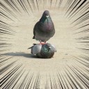 2月17日の日記