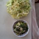 埋め埋め。