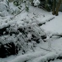 エンジュシティの天気