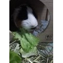 おいしそうに食べるよ。