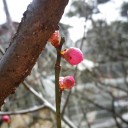 2月26日の日記