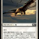 Caw-No Goyfについて