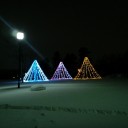 1月に撮った写真なんだけど