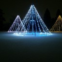 1月に撮った写真なんだけど