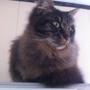 ねこども１０ヶ月