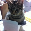 ねこども１０ヶ月