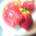 今日のおやつ