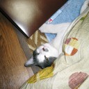 やっと仕事終えて、帰ってきました。