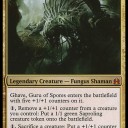 MTGとDN復帰
