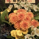『NORITAKE GUIDE 5.0 ザ・木梨憲武ショー』＠日本橋三井ホール。