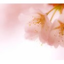 なんというか・・・その３