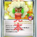 ポケモン制作物⑤