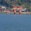 広島なう