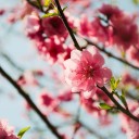 水曜〓立ち読みと片付けと〓