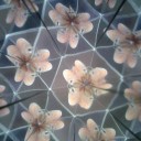 20110311　“みんなが同じ事について考えていた日”　の巻
