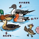 【MO】　『快進撃終了ｗｗｗｗｗ８－４を４連敗中＾＾；；；；やばい・・・・もう日曜日のBMスタン終わるまでMOﾔﾗﾈ!!!ｗ』の巻