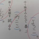 ちびっち、10 歳6ヶ月と2 7日♪(みここみる)