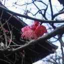 季節は巡る