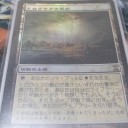 トロウケアの敷石