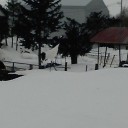 春近し・・