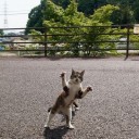 3月20日の日記
