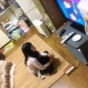 家遊び、外遊び、どっちも大切（積み重ね）