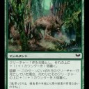 【突然マジック英語】howl