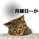 3月26日の日記