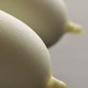 She has gone.　“そしてオカアサンの春休み2012開幕☆”　の巻