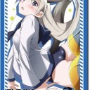 カオスTCGカーニバルｉｎ大阪　～鳥鯖レポ～