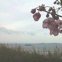 3月30日の日記