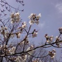 猿江恩賜公園