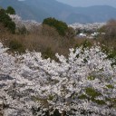 インサイトエクスクルーシブの燃費を算出（２回目）