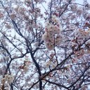 2012年4月8日