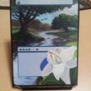 【拡張アート】 島