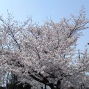 小さな幸せ♪