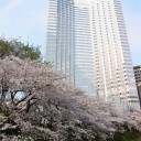 先週の出来事と今日の花見