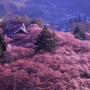 いつかこれを