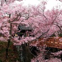 いつかこれを