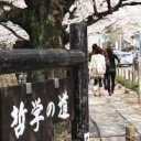 さくらさく・・・・