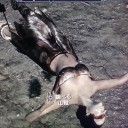【同胞団】Skyrim【Do放談】